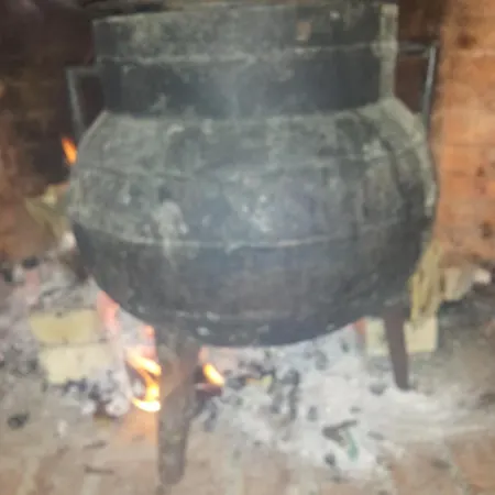 Guest house Casa Do Escoivo Loivos da Ribeira