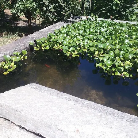 Guest house Casa Do Escoivo Loivos da Ribeira