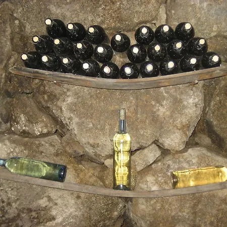 Guest house Casa Do Escoivo Loivos da Ribeira