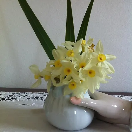 Casa Do Escoivo Guest house 3*