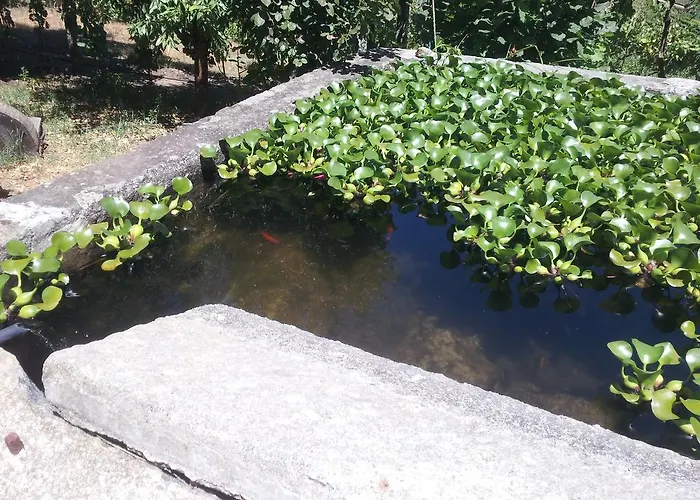 게스트하우스 Casa Do Escoivo Loivos da Ribeira