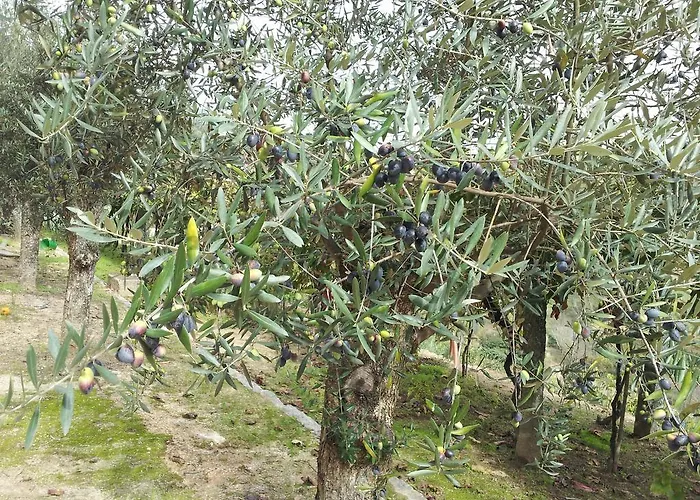 Pensión Casa Do Escoivo 3*