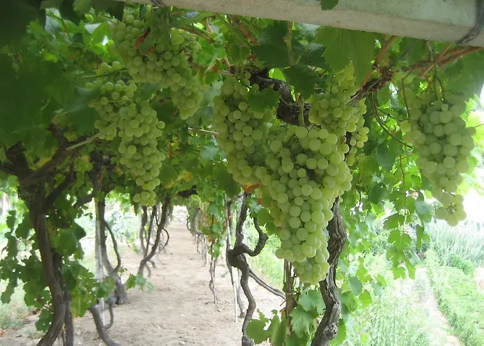 Pensión Casa Do Escoivo