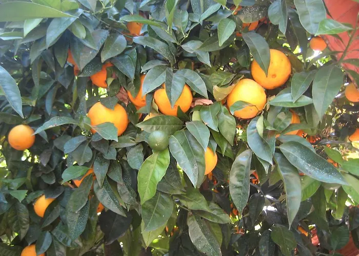 게스트하우스 Casa Do Escoivo