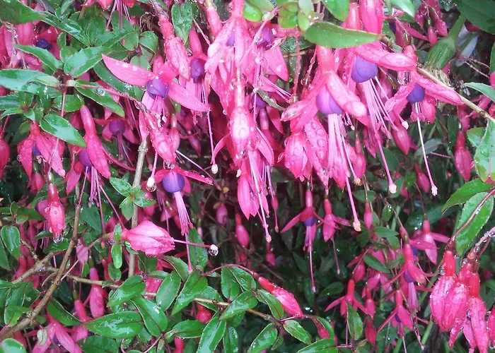 게스트하우스 Casa Do Escoivo Loivos da Ribeira