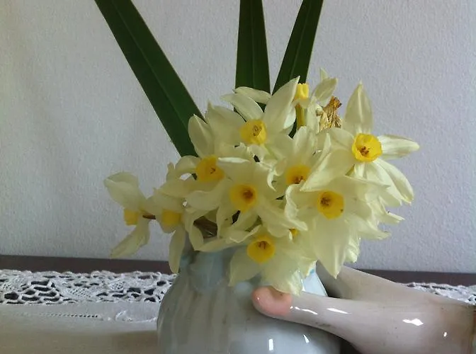 Casa Do Escoivo 게스트하우스 3*